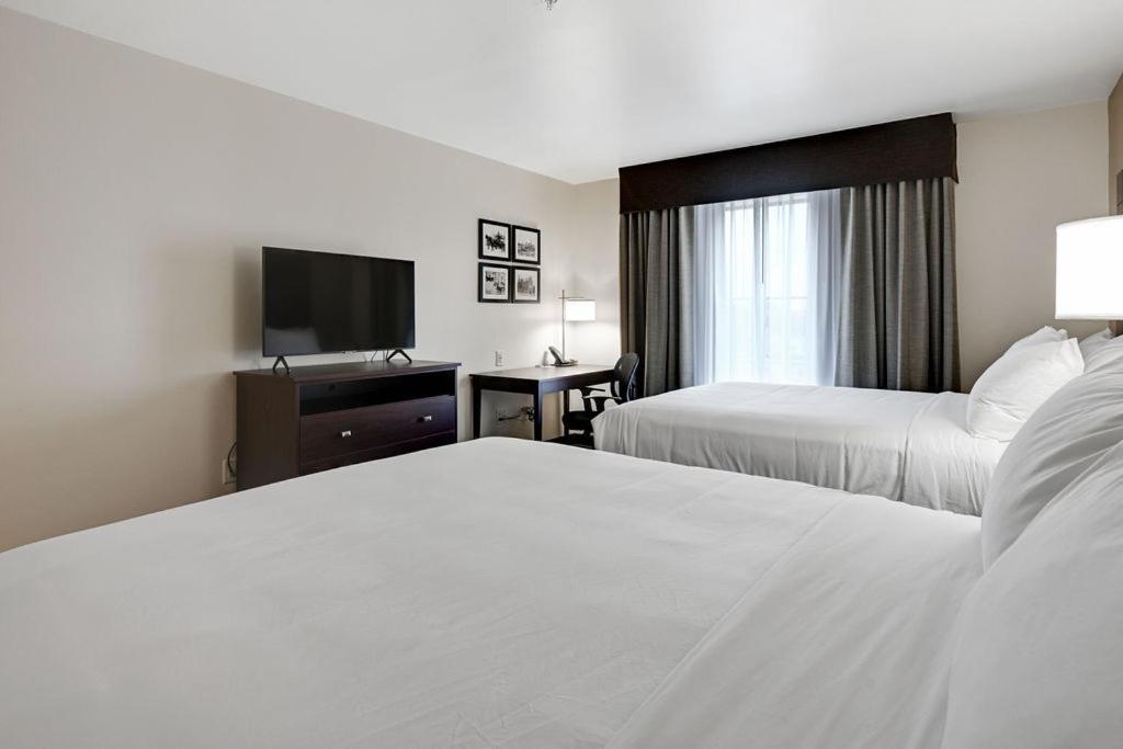 Cobblestone Hotel & Suites - Mosinee Luaran gambar